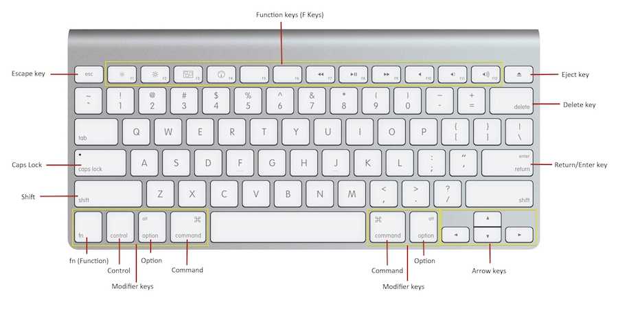 The best keyboard shortcuts for Microsoft Word on Mac